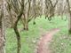 Il cavo apparso ad altezza gola nel Bosco del Vignolo (foto tratta da Facebook)