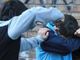 Bullismo a Pavia, sospesi i compagni di classe