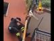 Cagnolino incastrato a testa in giù nelle inferriate del balcone ai piani alti viene salvato dai vigili del fuoco