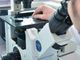 Microcalcificazioni del seno: non tutte sono correlate all’insorgenza del tumore