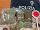 Pavia: trovati in possesso di hashish, marijuana e circa 2mila euro in contanti. Scattano le manette per 2 persone