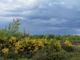 Life Drylands: via alla riqualificazione della Fagiana tra Magenta e Robecco