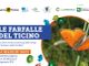 Domenica 14 le farfalle del Ticino...alla Sforzesca di Vigevano