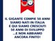 Il Gigante offre lavoro a giovani tra 20 e 35 anni