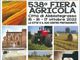 Abbiategrasso, stasera via alla Fiera Agricola 538: il programma (e le modifiche stradali)
