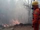Regione Lombardia, allarme sugli incendi boschivi