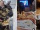 Kika e a destra le immagini della sua gioia a casa