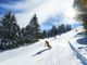 Vacanze sulla neve, dal primo gennaio 2022 arriva l’assicurazione obbligatoria