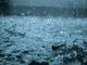 3BMETEO.COM: “Mezzo metro di pioggia in solo 6 ore in Liguria, RECORD NAZIONALE, e il maltempo punta ora al resto d’Italia”