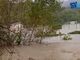 MALTEMPO IN LIGURIA/2. Il Bormida esonda e invade lo stadio (video)