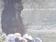 Pasquetta in riva al Ticino, tra rifiuti, fuochi selvaggi, fiumi di birra e incivili a volontà