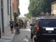 Robecco: famiglia di cigni a spasso lungo via Ripa Naviglio (FOTO)