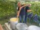 Trecate, ‘Sagra della Polenta’: buona la ventesima edizione