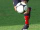Calcio, la maggioranza delle società approva la ripartenza dell'Eccellenza: sono 33 su 48