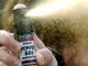 Pavia, spray al peperoncino a scuola: due ricoverati in ospedale