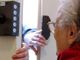 Lomellina: caro bollette, attenzione alle truffe dei falsi venditori porta a porta