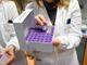 Covid-19, quando e chi coinvolgeranno le quattro fasi del piano vaccinale nazionale