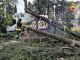 Milano, albero si abbatte su bus per turisti in pieno centro