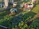 Centoventi viole per il cimitero dei bambini a Magenta, da Jessica, Miriam, Natascia e Sara