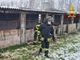 - VIDEO - Vigevano: crolla il tetto in un allevamento di maiali, soccorsi 400 capi