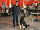 Pavese: controlli effettuati con i cani antidroga, segnalate otto persone
