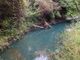 Rinvenuti sversamenti di gasolio all'interno del torrente Curone