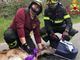 Cerbiatto cade nel Naviglio Grande a Turbigo, salvato dai Vigili del Fuoco