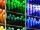 Parlamento Ue: stop ai cosmetici testati sugli animali entro il 2023