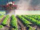 Glifosato: Coldiretti, in Italia resta divieto, stop import