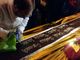 - (FOTOGALLERY) - Vigevano, il grande successo della golosa VII Choco Ducale oggi ha visto in piazza la tavoletta guinness