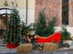 Robbio, domani (sabato) l’accensione dell’albero di Natale. Già accese invece le luminarie in paese