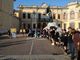 foto Alex Morandi