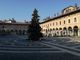 - FOTONOTIZIA - Vigevano: in piazza Ducale è arrivato l'Albero di Natale