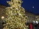 - FOTONOTIZIA - Vigevano: acceso l'Albero di Natale in piazza Ducale