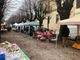 foto Alex Morandi