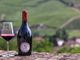 Arrivano i Bonarda Days, i giorni perfetti dedicati al vino storico dell’Oltrepò Pavese