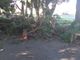 Paura a Gropello dove la scorsa notte le forte raffiche di vento hanno spezzato rami e punte degli abeti secolari di Villa Cairoli