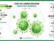 Coronavirus, in provincia di Pavia 81 casi in un giorno: in totale 2.700 contagi