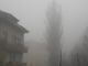 Smog: Coldiretti, spinto da cambiamenti clima -31% pioggia