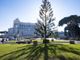 Consumi: Coldiretti, al via rottamazione 3,8 mln alberi come spelacchio