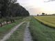Garlasco, via Francigena è boom di camminatori che arrivano da tutto il mondo