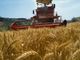 Regione, agricoltura: con il 2019 torna l’anticipo PAC