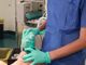 Selezione pubblica finalizzata al reclutamento di 8 medici di anestesia e rianimazione da destinare al presidio ospedaliero Broni-Stradella