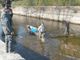 Navigli e Asciutta: recuperati oltre 36 quintali di pesce