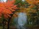 La splendida foto postata dalla pagina Facebook NaturalMeteo per salutare l'inizio dell'autunno