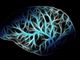 Vigevano: Settimana del Cervello, Quanto la tecnologia ed i suoi strumenti vanno ad influire sulle capacità cognitive?