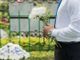 Coronavirus: a Novara chiuso anche il cimitero
