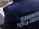 Operazione NOE. Traffico illecito di rifiuti e realizzazione di discariche abusive anche in Lombardia