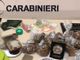 Corbetta: sorpreso con dosi di eroina e cocaina, arrestato 48enne italiano