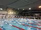 La Vigevano Nuoto fa incetta di medaglie al "3° Trofeo Di Primavera Città di Voghera" La Vigevano Nuoto fa incetta di medaglie al "3° Trofeo Di Primavera Città di Voghera"